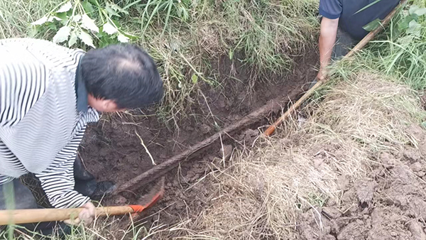 忠縣分公司石寶、紅星客運碼頭對消落期港區(qū)系泊設(shè)施設(shè)備進行維護保養(yǎng)3.jpg